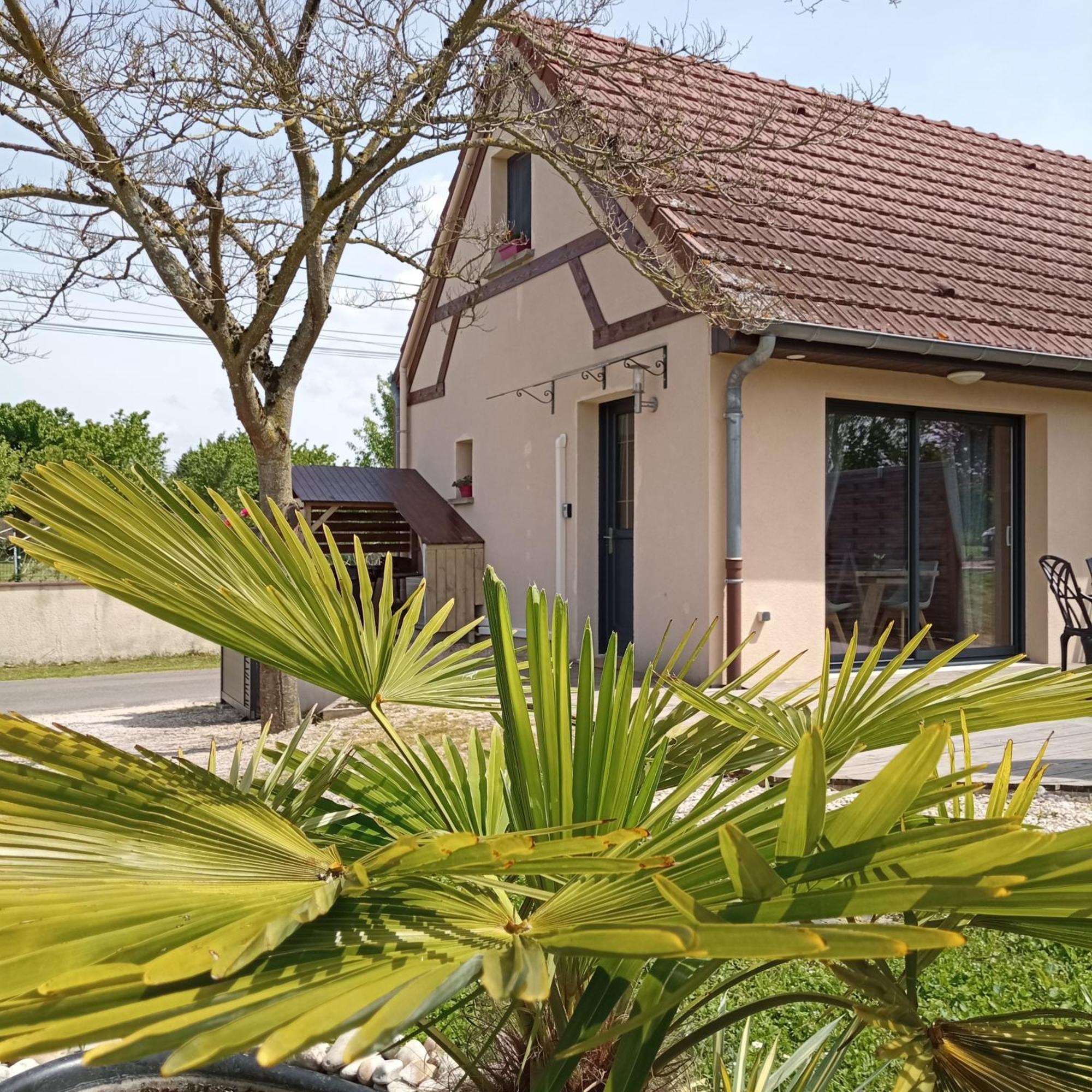 Saint-Maurice-en-Riviere L'Albizia Gite Climatise St Maurice מראה חיצוני תמונה